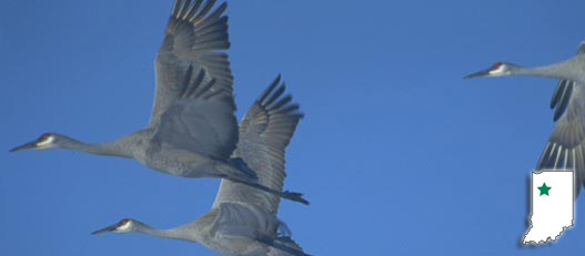 JASPER-PULASKI FISH & WILDLIFE AREA