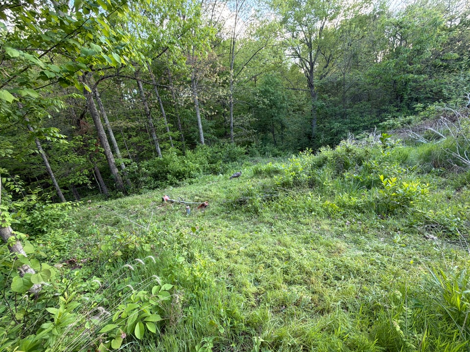 3 acres for lease in Kentucky