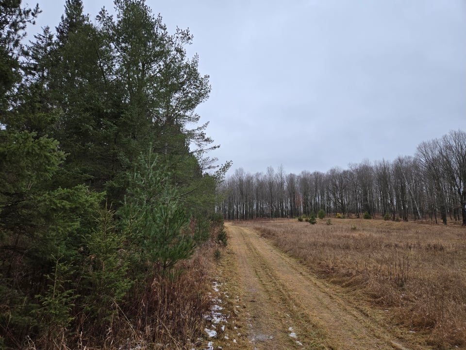 77 acres in Marinette Co. for lease