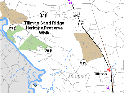 Tillman Sand Ridge Heritage Preserve/Wildlife Management Area