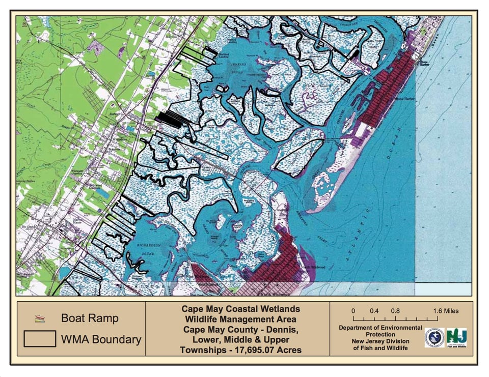 Cape May Coastal Wetlands Wildlife Management Area - Wildwood