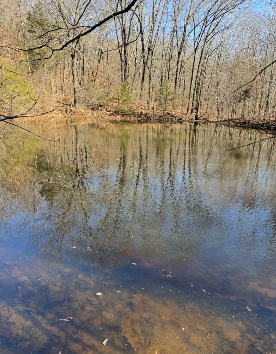 Elkins, Arkansas hunting land