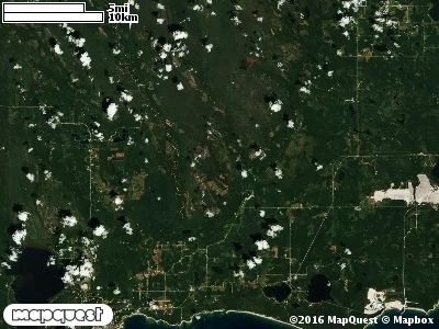 Seney Manistique Swamp
