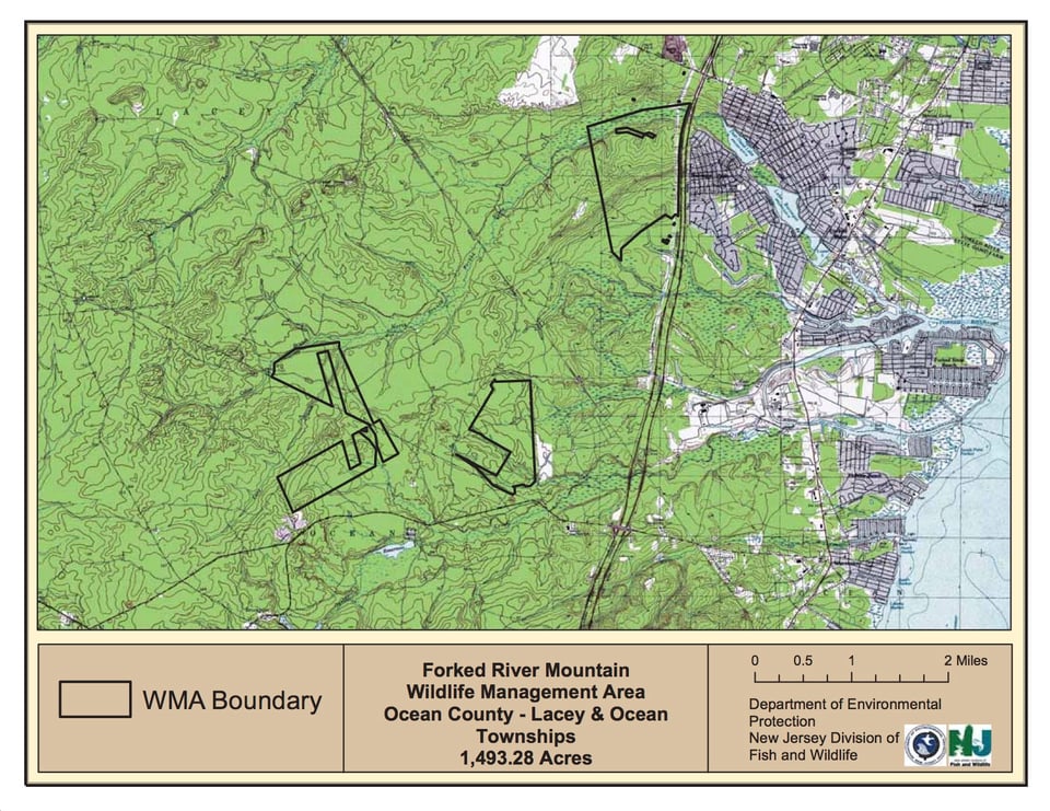 Forked River Mountain Wildlife Management Area