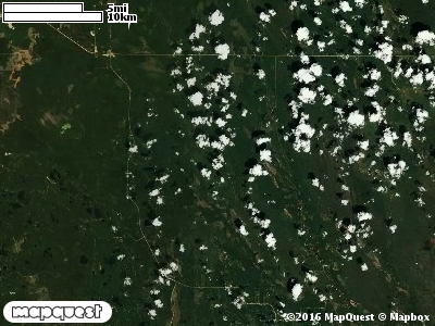 Seney Manistique Swamp
