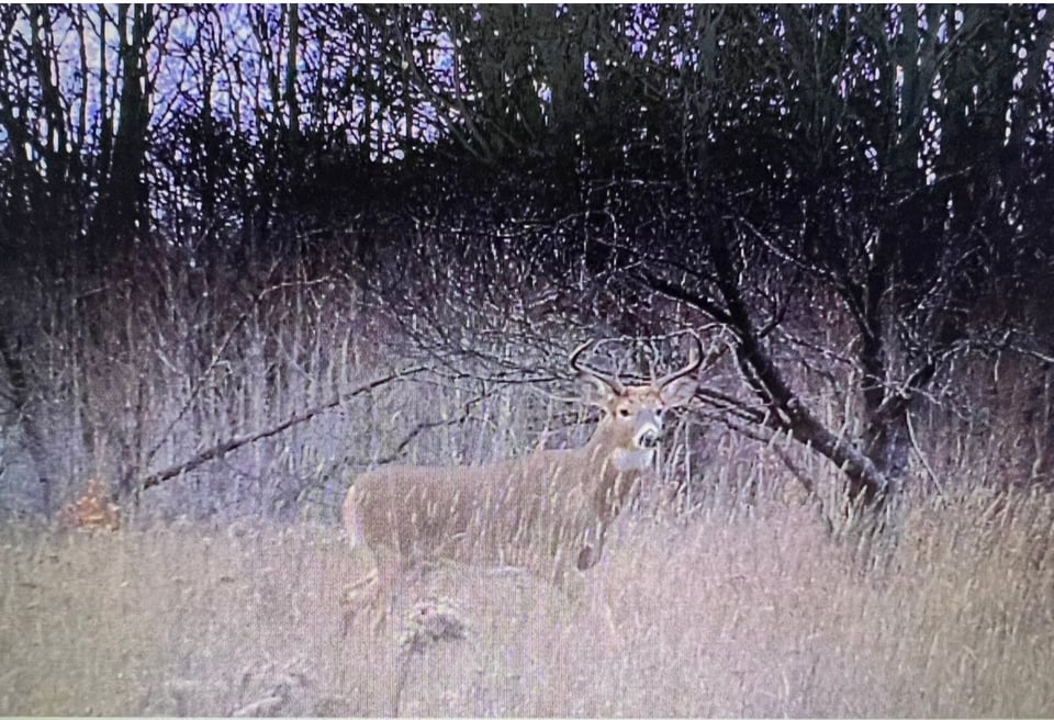 Hunting land - 163 acres, Chassell , Michigan
