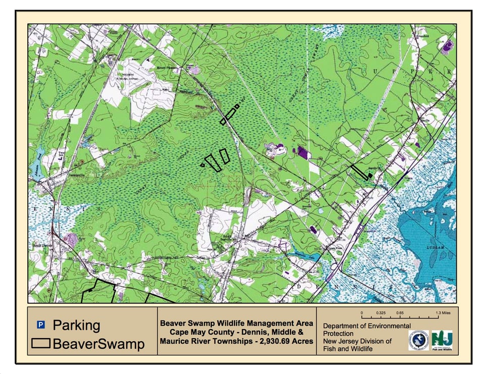 Beaver Swamp Wildlife Management Area - North