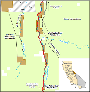West Walker River Wildlife Area