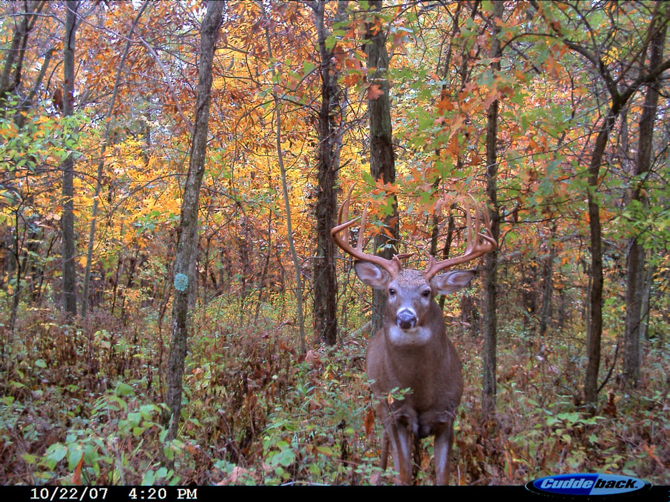 Kirksville hunting land for lease