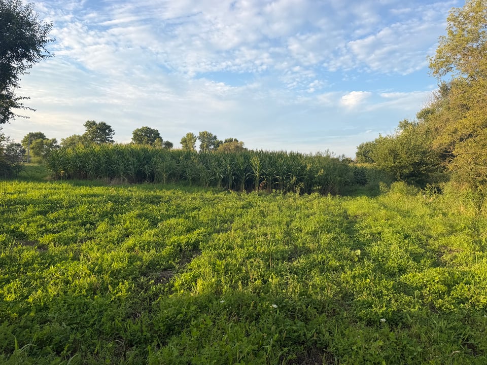 48 acres - Winslow , Illinois