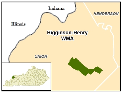 Higginson-Henry WMA