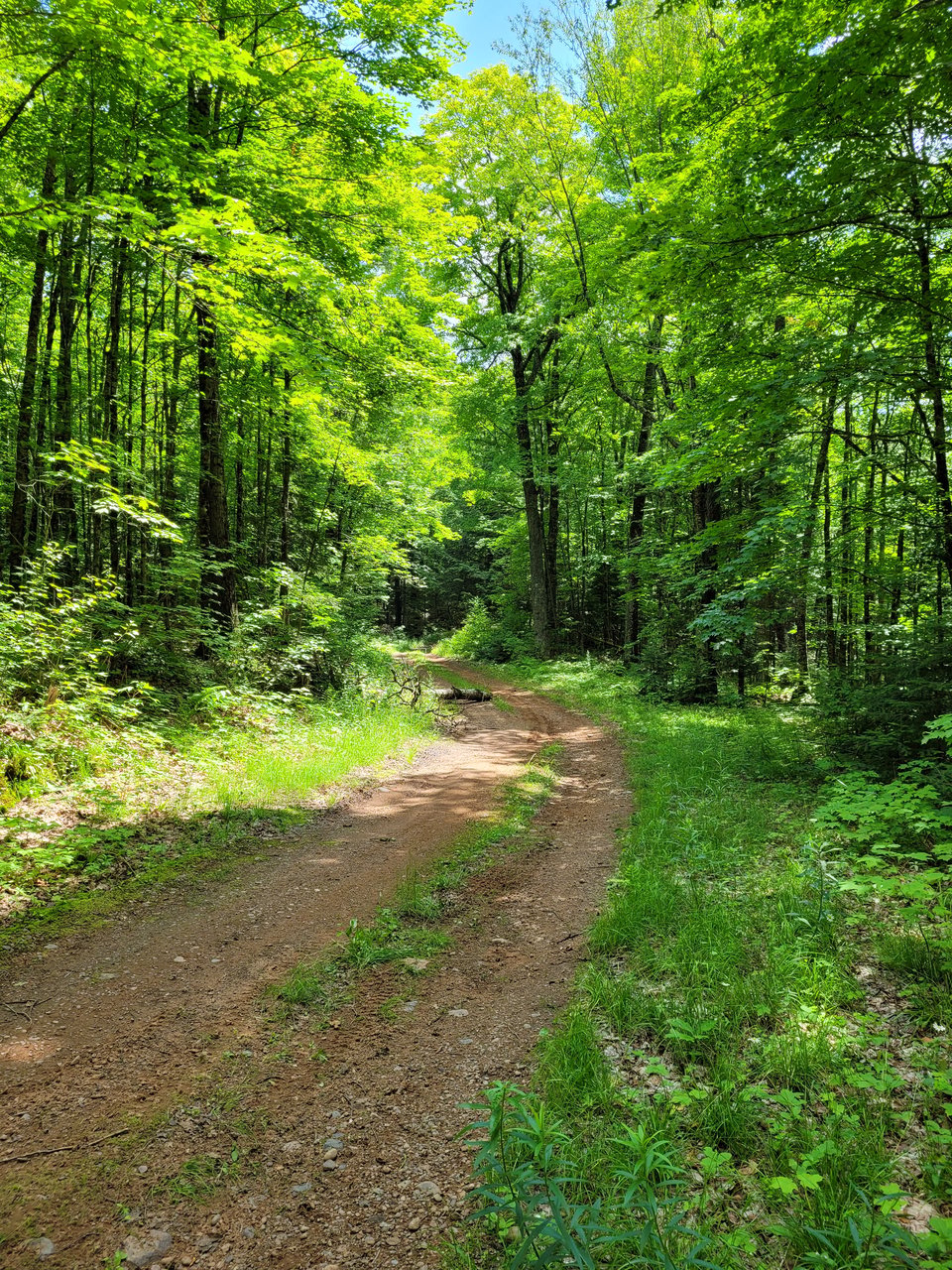Now leasing 40 acres Gogebic, Michigan