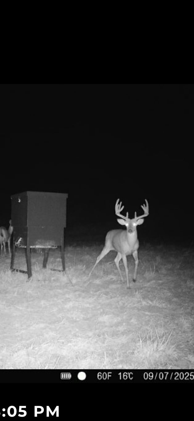 Hunting land - 1400 acres, Drakesboro , Kentucky