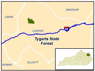 Tygarts State Forest