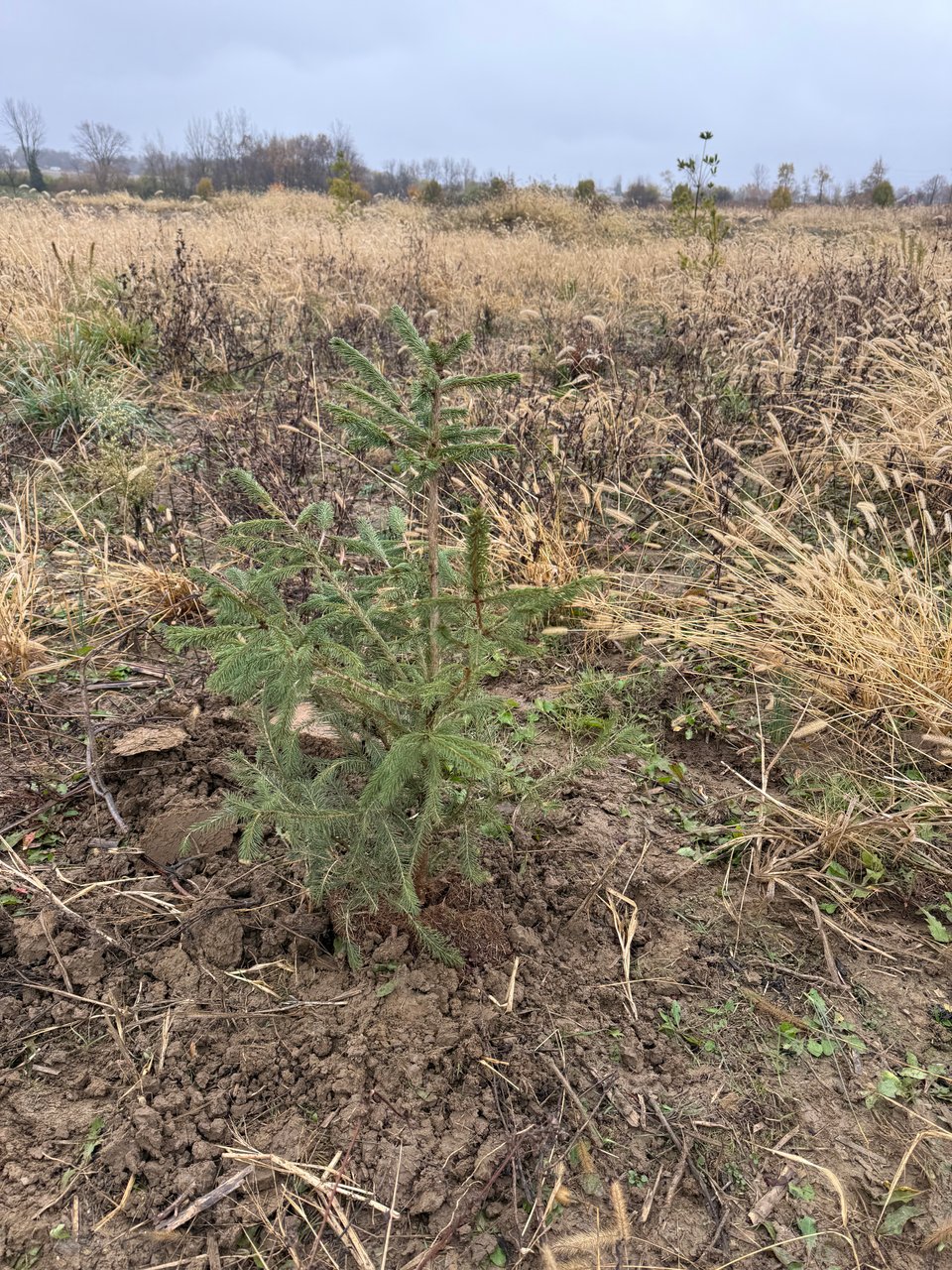 23 acres for lease in Ohio