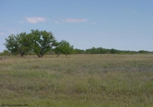 Cottonwood Flats Wildlife Area