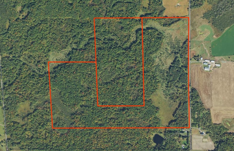 271ac Chippewa Co hunting land for lease