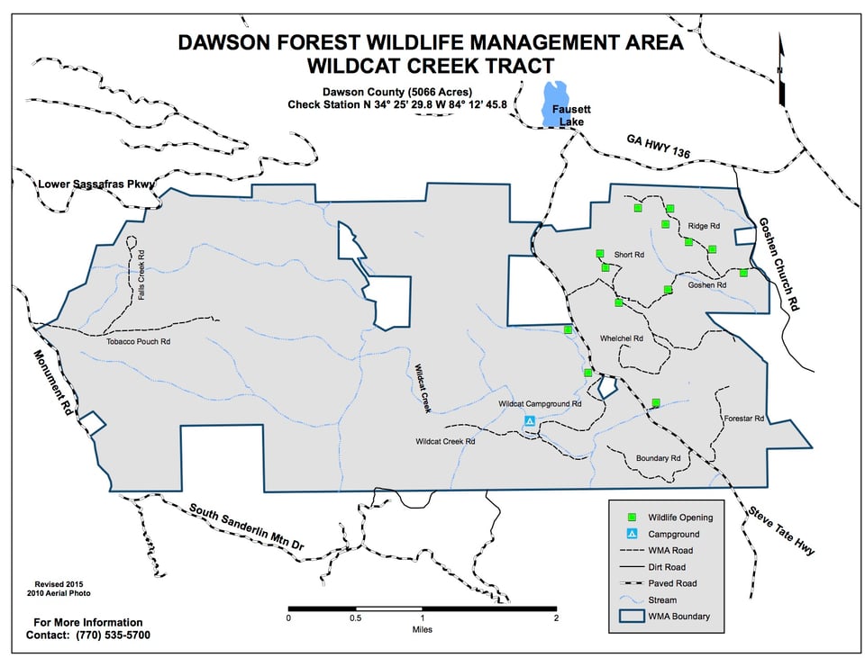 Dawson Forest Wildcat Creek Tract