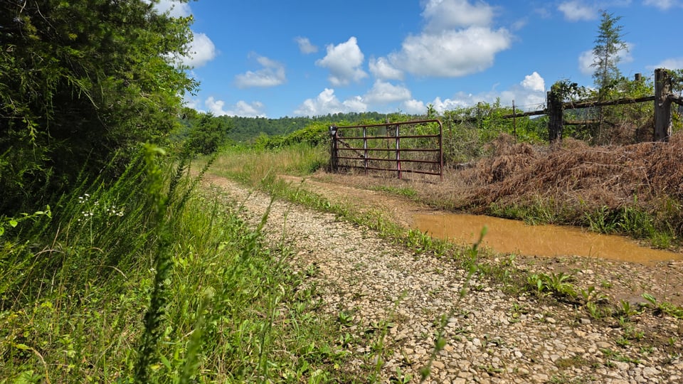 Available 1154 acres Monticello, Kentucky **$28,000**