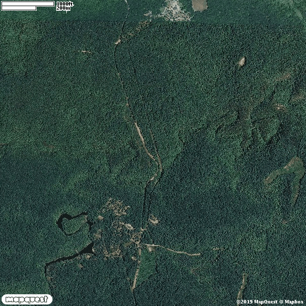 PICKETT STATE FOREST