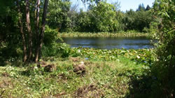 Black River Unit