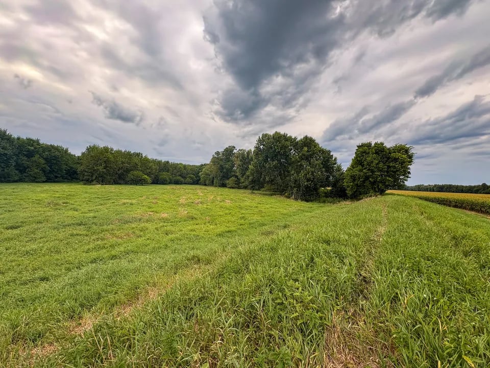 Hunting land - 277 acres, Montezuma, Indiana