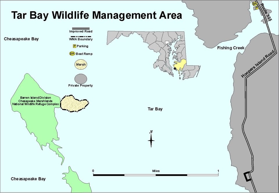 Ellis Bay WMA