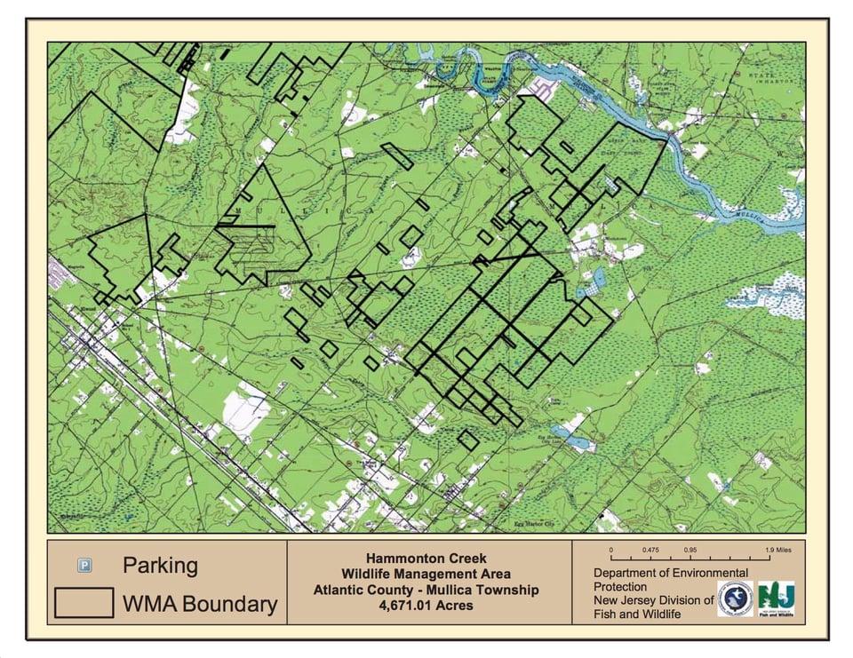 Hammonton Creek Wildlife Management Area - East