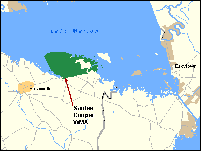 Santee Cooper Wildlife Management Area