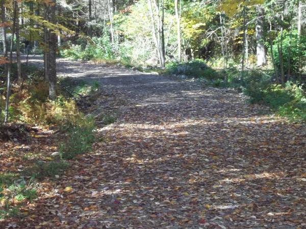 Hunting land - 52 acres, Brandon, NY