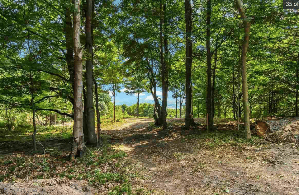 Excellent hunting opportunity Benzie, Michigan