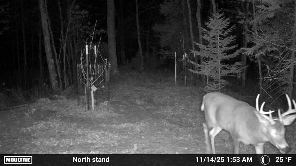 Wallace hunting land for lease