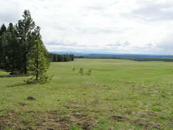 Grouse Flats Unit