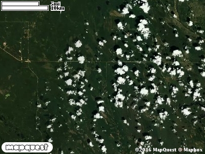 Seney Manistique Swamp