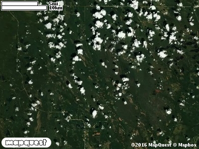 Seney Manistique Swamp