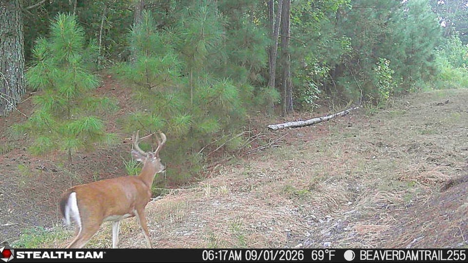 Big Game Back Country at Peabody Fish Camp