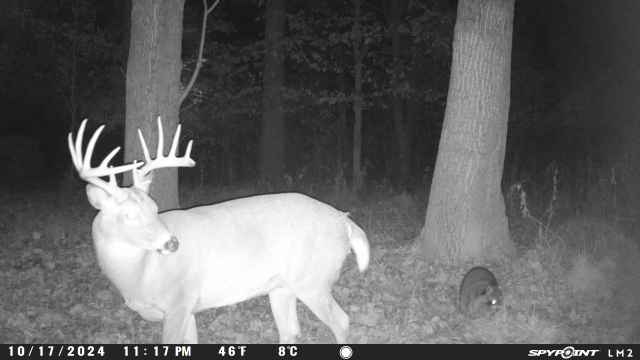 Hunting land available in Davis Co.