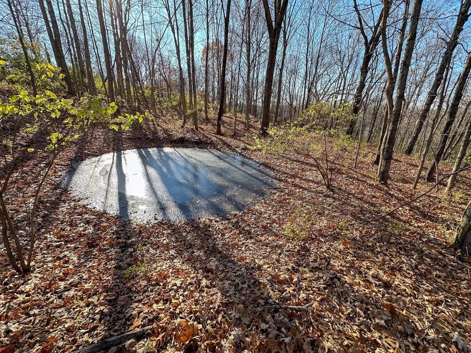 Morningview, Kentucky hunting land