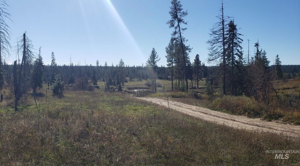 15.49 acres in Clearwater Co. for lease
