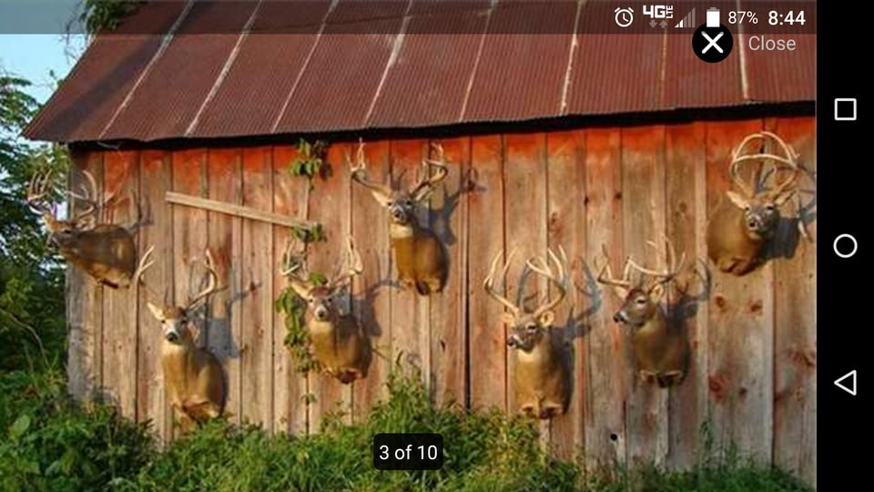 Hunting land available in Van Buren Co.