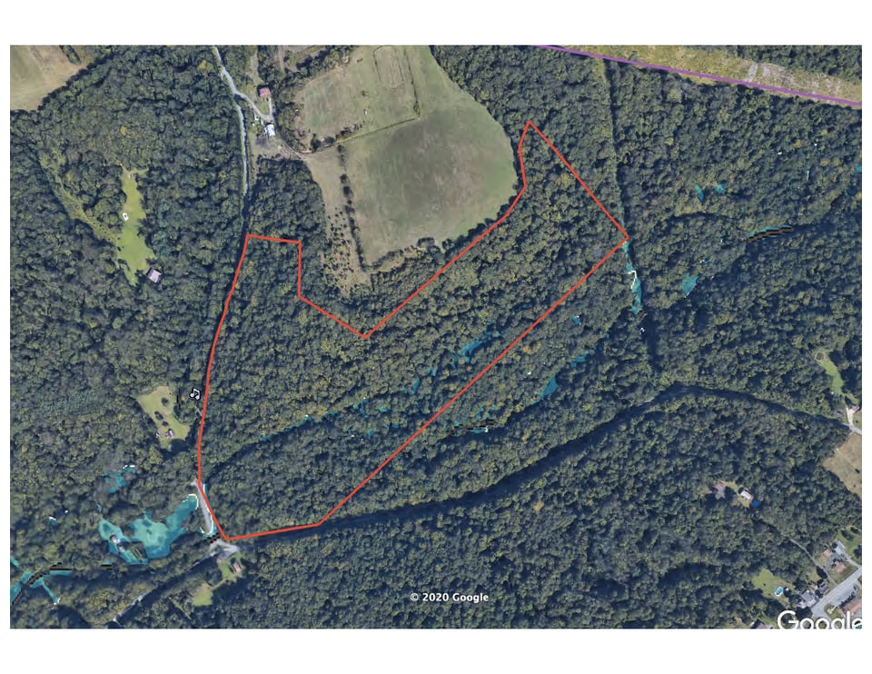 Cambria county hunting land