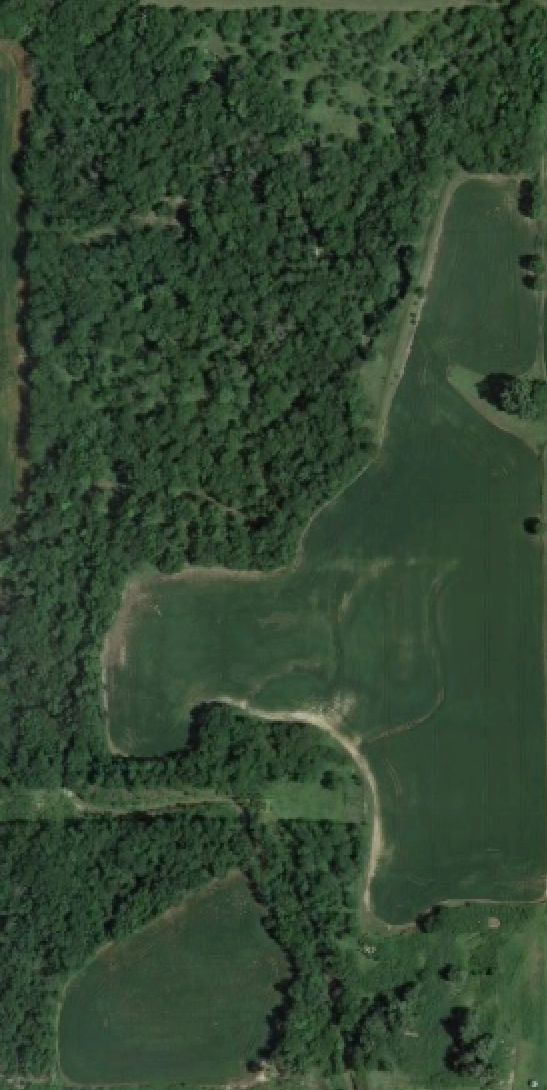 Creek Bottom