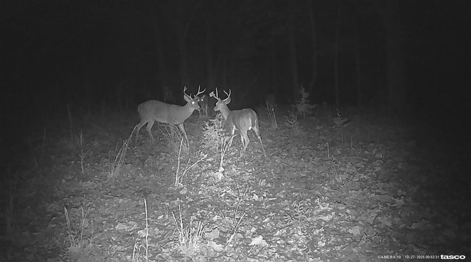 Beautiful. 320 in Marion, Arkansas