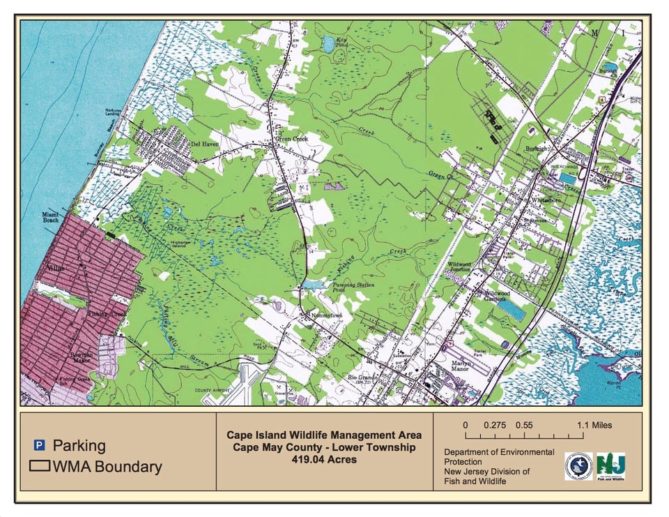 Cape Island Wildlife Management Area - North