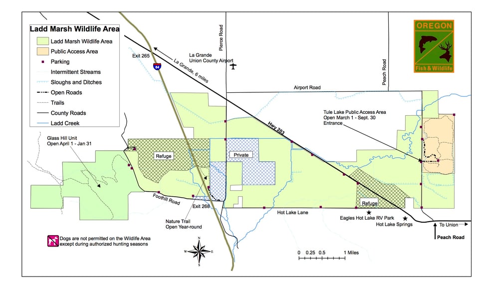 Ladd Marsh Wildlife Area