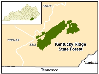 Kentucky Ridge State Forest