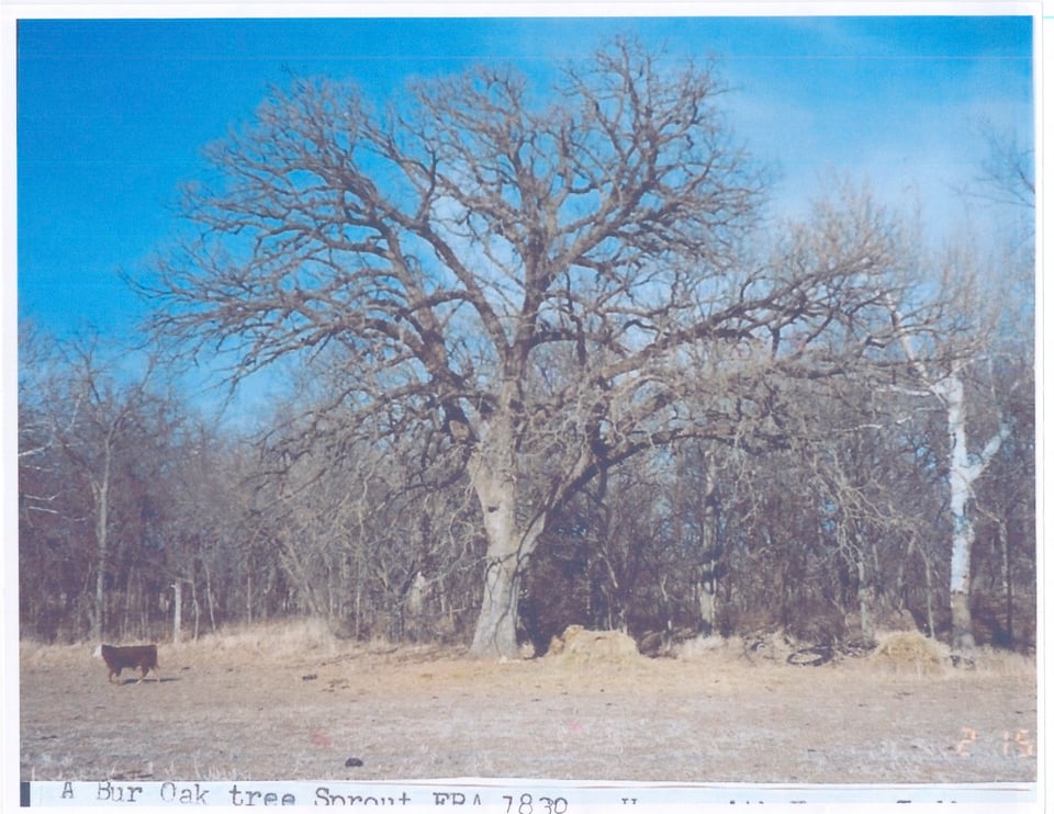 Leslie T. and Lydia A. Fitzgerald Wildlife Area