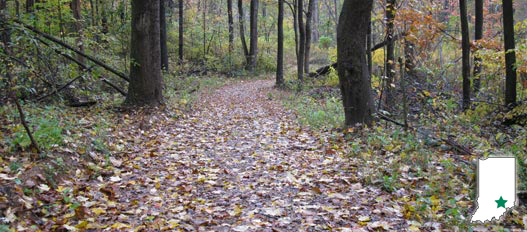 SELMIER STATE FOREST
