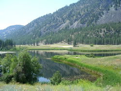 Sinlahekin Unit