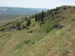 Bridgeport Unit